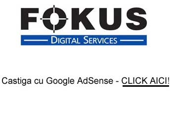Fokus Adsense