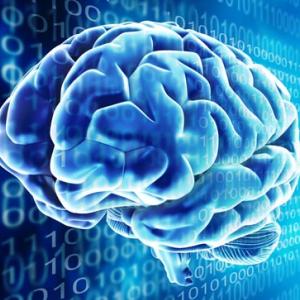 Primul creier artificial capabil de invatare, de la Google