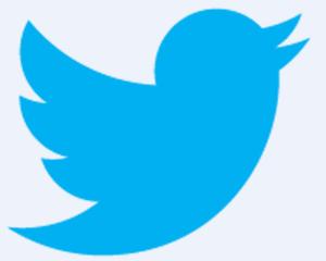Veniturile Twitter s-au prabusit: utilizatori de 5 ori mai putini in ultimul an