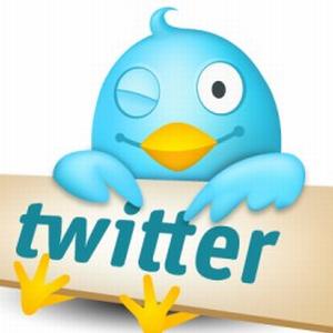Twitter a ajuns la 100 de milioane de utilizatori activi 