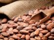 Brandul Hershey promite ca va renunta la sclavia copiilor in productia de cacao pana in 2020