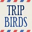 Tripbirds: Noua retea social media destinata amatorilor de calatorii