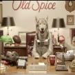 Old Spice il angajeaza pe Wolfdog pe postul de