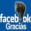 Gigantii de pe Facebook: 5 branduri de succes