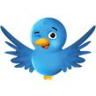 Cand postam pe Twitter: 5 instrumente revelatoare