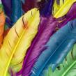 Cum ne influenteaza culorile viata