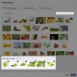 Shutterstock iti da poze gratuite pentru reclamele pe Facebook