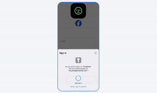 ​Meta introduce passkeys pe Facebook, pentru autentificare fara parola