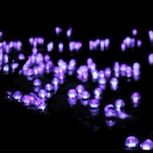 Campanie de Craciun ce vizeaza luptatorii de gherila columbieni