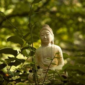 Optimismul se invata la fel ca matematica| Exercitiul este de baza