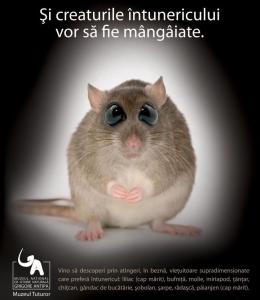 Leo Burnett semneaza noua campanie a Muzeului Grigore Antipa dedicata persoanelor cu dizabilitati