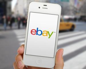 Statul care isi redreseaza economia prin afaceri pe eBay