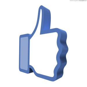 Cat valoreaza un fan pe Facebook?