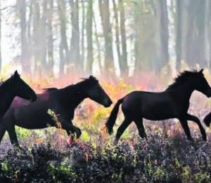 Despre puterea lui impreuna in noul spot Vodafone