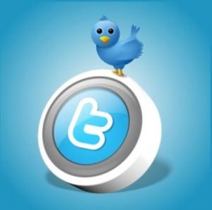 Cum sa aduci profit companiei tale cu ajutorul Twitter-ului